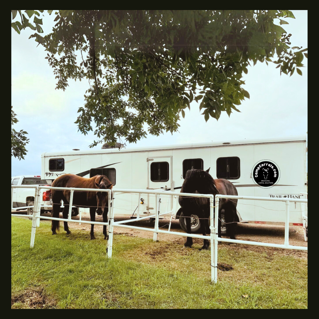 Two horses standing next to a white travel trailer on a grassy area with trees.