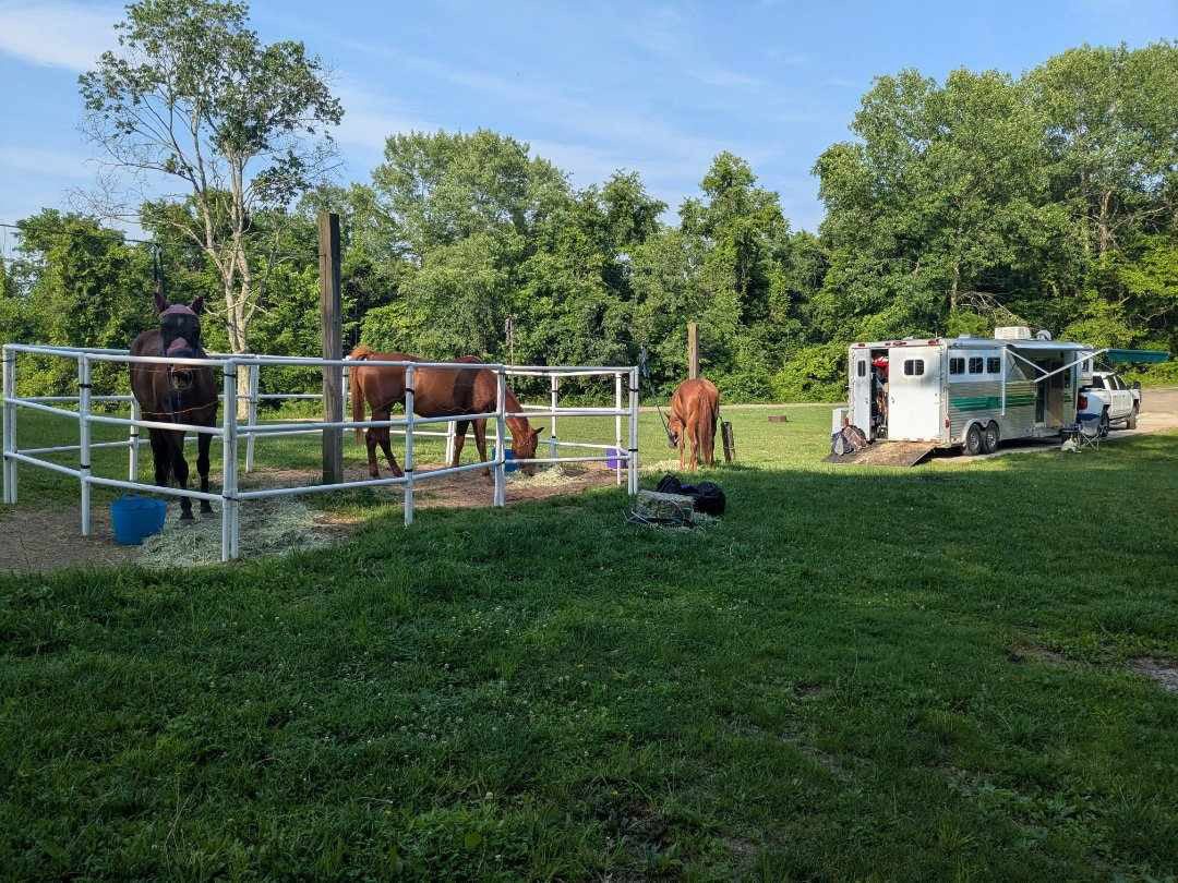 Modular Horse Corral Portable Panel Fencing: (Liberty 12 Panels; 3 Rails)
