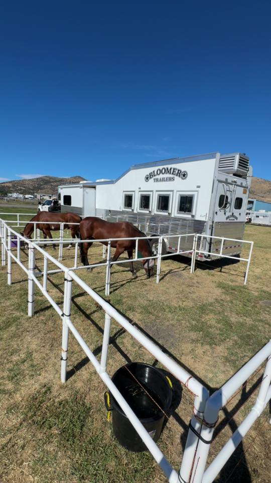 BOGO Buy 6 Get 6 50% OFF: Heavy-Duty Electric Ready-Made Corral (12 Panels; 2 Rails)