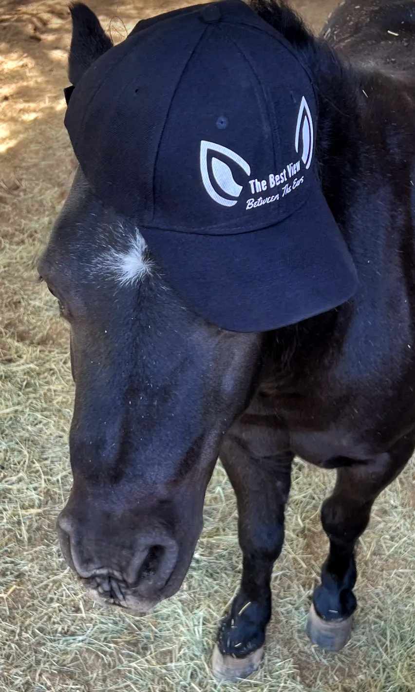 Between the Ears Hat