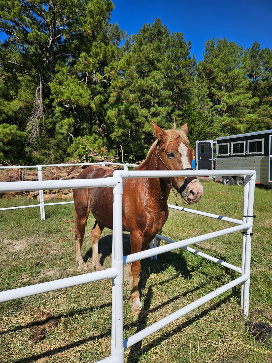 Modular Horse Corral Portable Panel Fencing: (Liberty 6 Panels; 3 Rails)