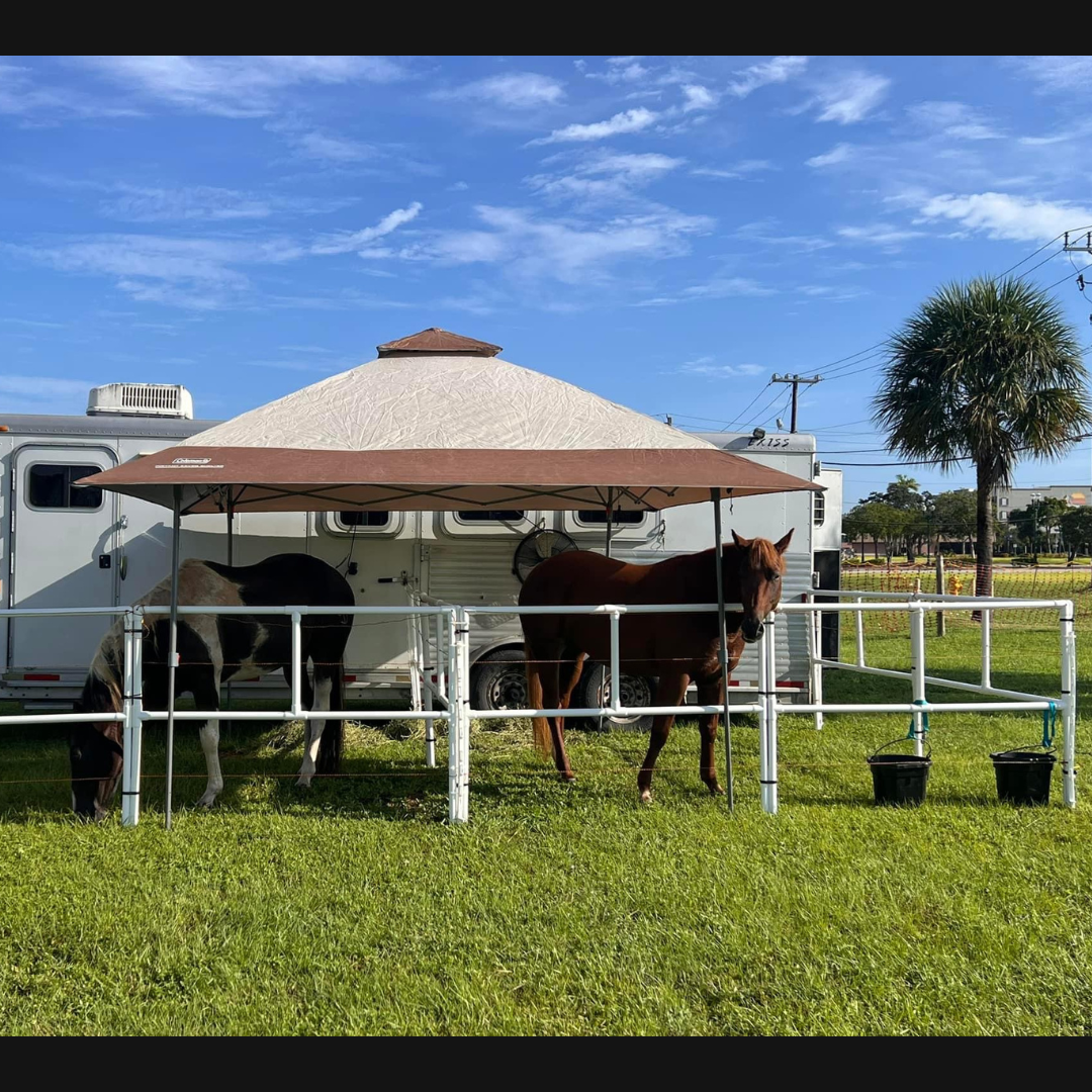 Heavy-Duty Electric Ready-Made Corral (10 Panels; 2 Rails)