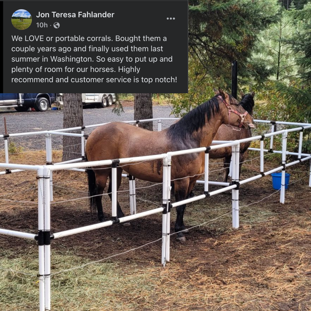 Horses in a portable corral with a review overlay.