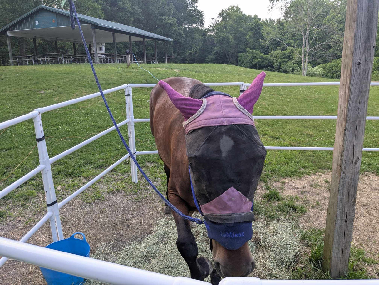 Modular Horse Corral Portable Panel Fencing: (Liberty 14 Panels; 3 Rails)