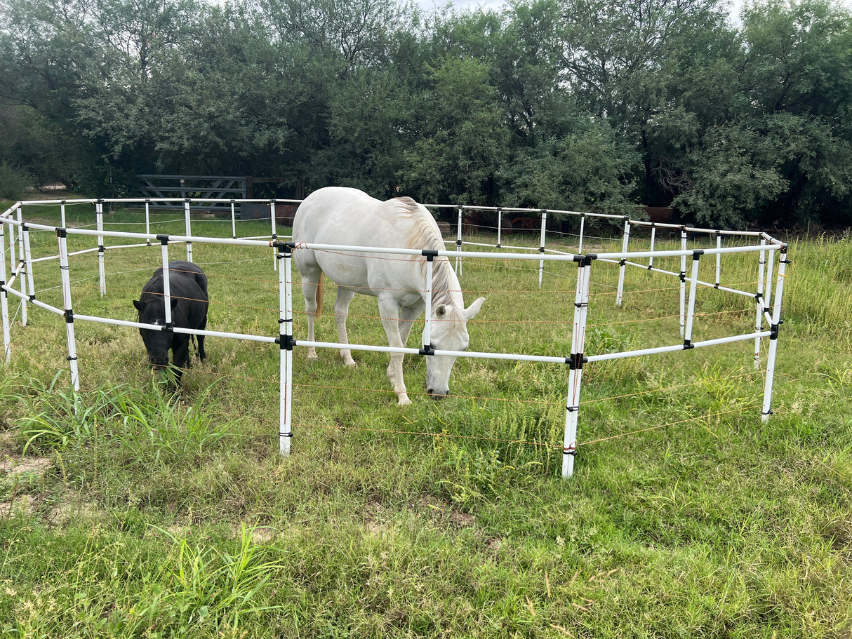Portable electric horse corral with 12 panels and 2 rails, 20 ft round pen free stranding with 15h horse and 26" mini happily grazing.