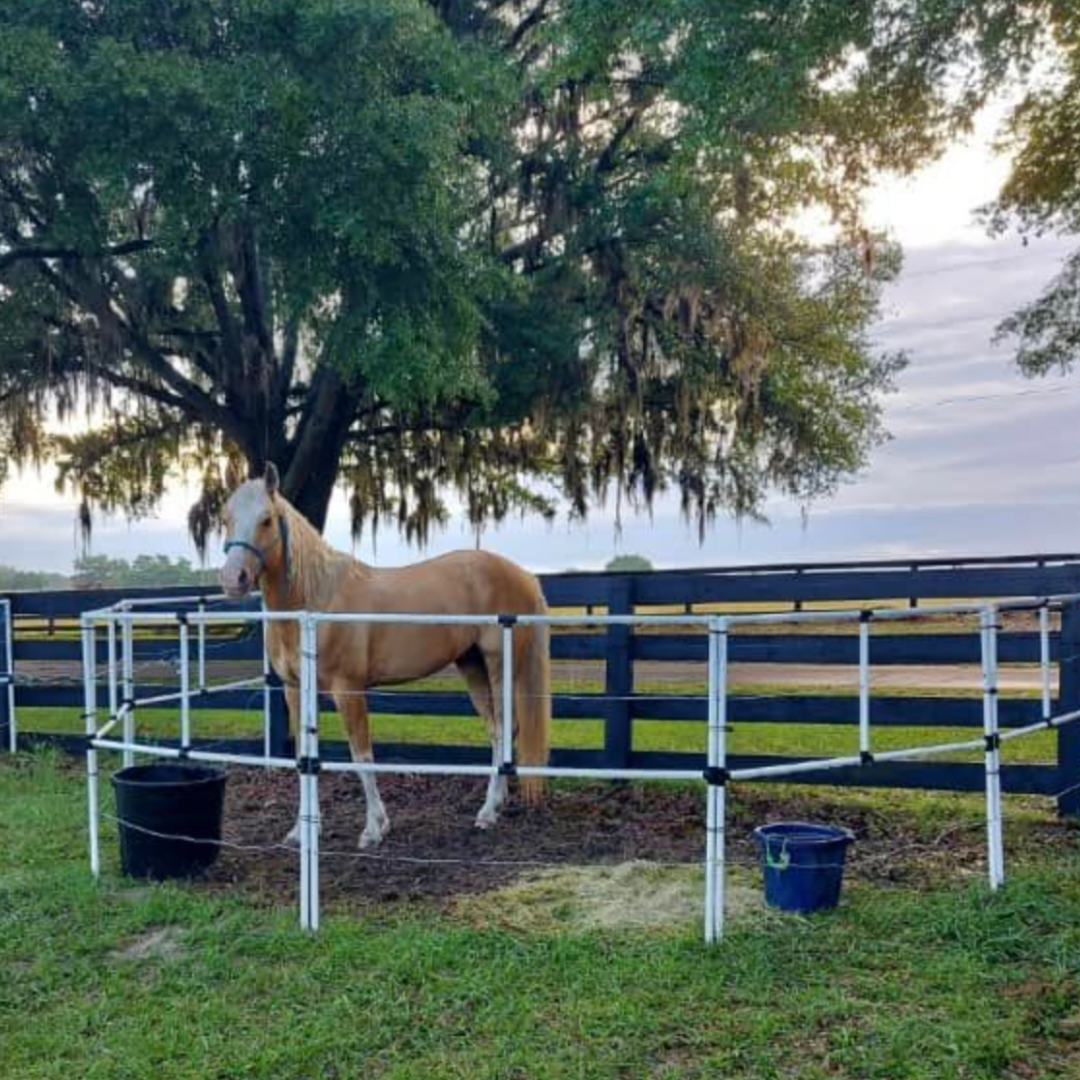 Ready Made Portable Electric Horse Corral Fencing: (Electric EconoLine 6 Panels; 2 Rails)