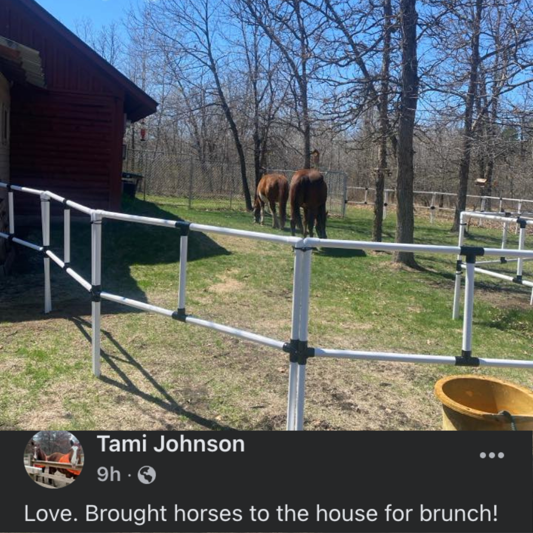 BOGO Ready Made Portable Electric Horse Corral Fencing: (Electric EconoLine 8x2 = 16 Panels; 2 Rails)
