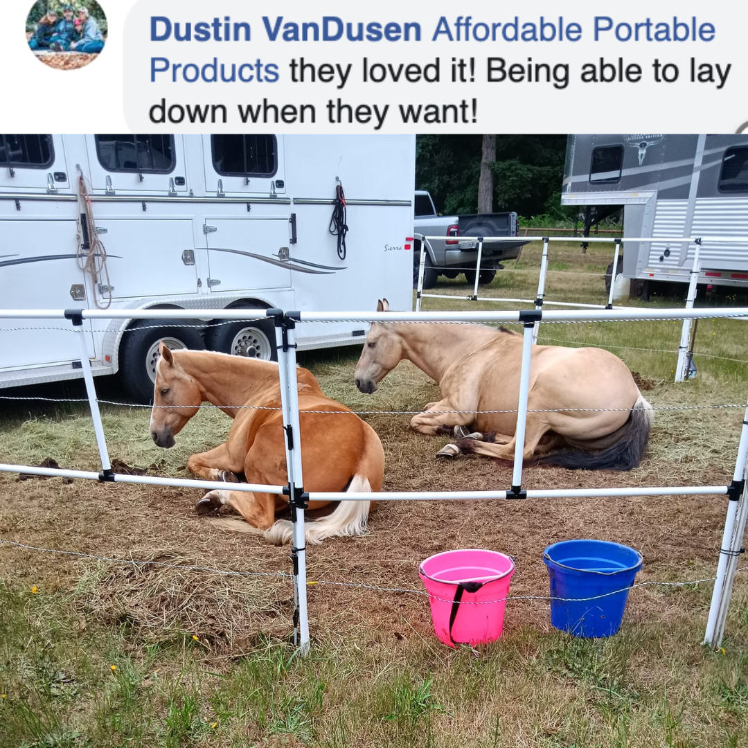 BOGO Ready Made Portable Electric Horse Corral Fencing: (Electric EconoLine 8x2 = 16 Panels; 2 Rails)