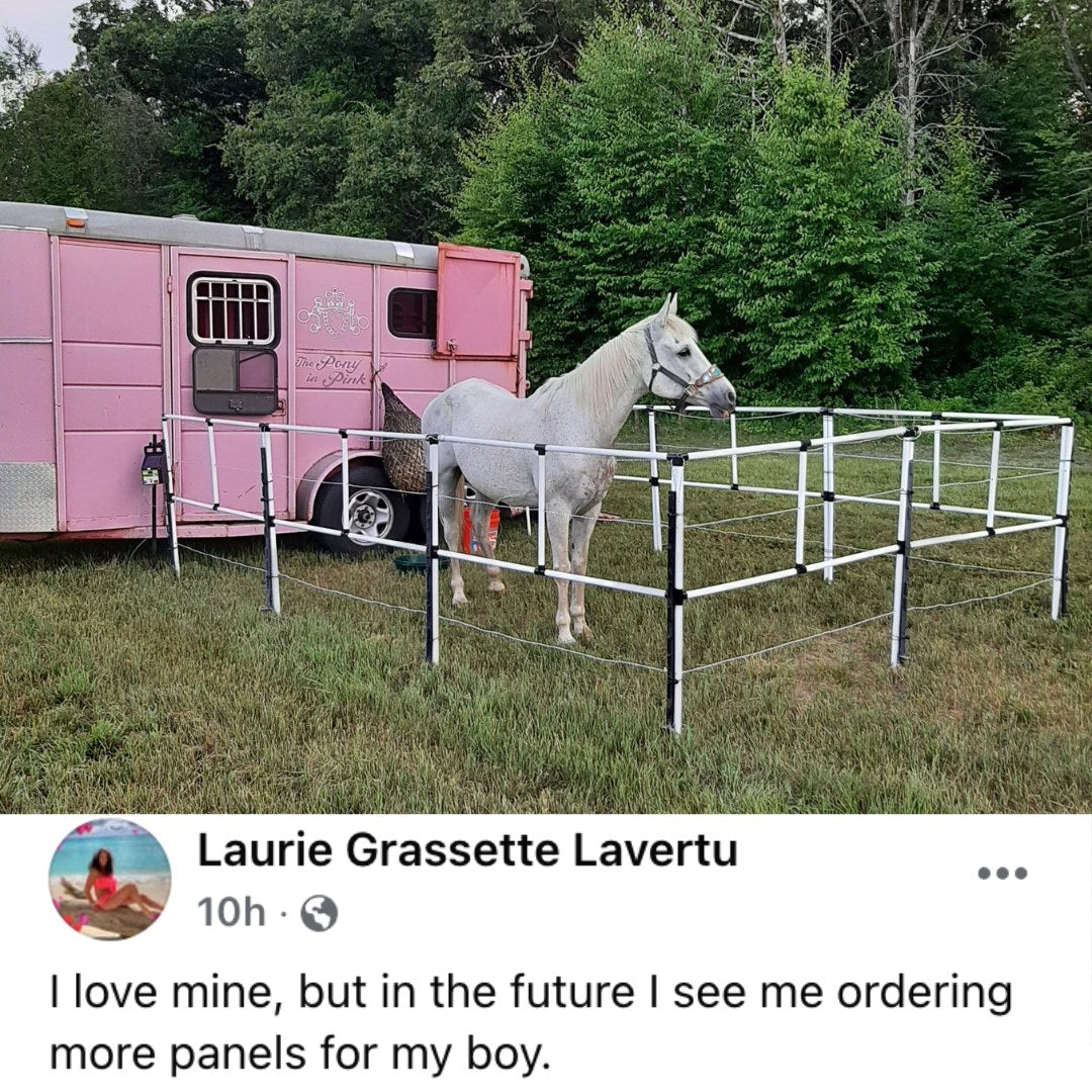 Portable Electric Horse Corral Fencing 8 Panels 2 Rails