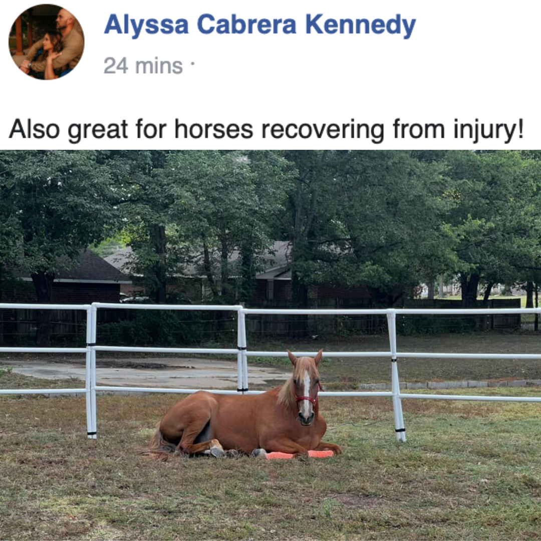 Modular Horse Corral Portable Panel Fencing: (Liberty 12 Panels; 3 Rails)