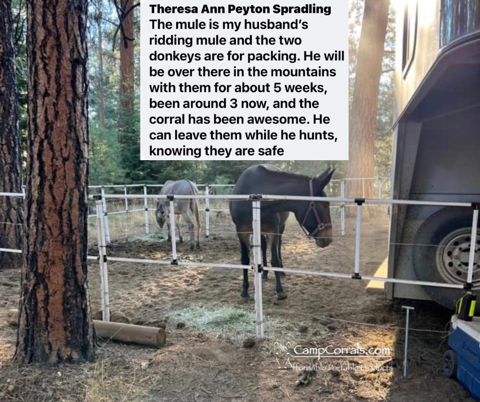 BOGO Ready Made Portable Electric Horse Corral Fencing: (Electric EconoLine 8x2 = 16 Panels; 2 Rails)