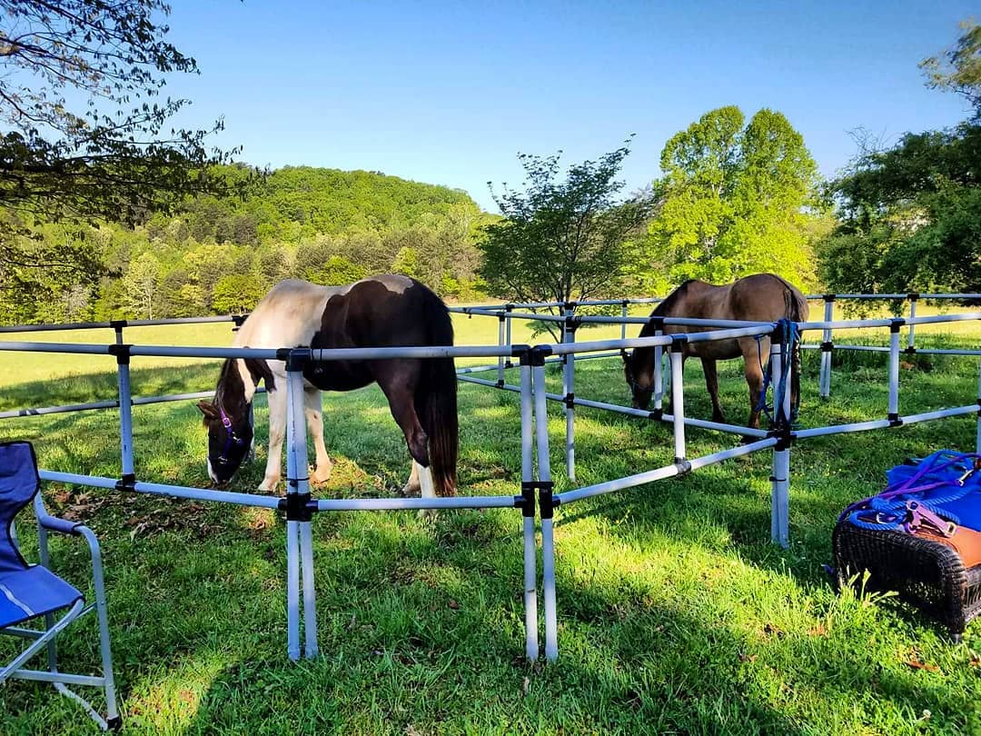 A portable corral made of white PVC pipe with two rails, set up outdoors with horses inside.