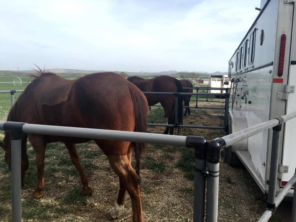 DIY Honey-Do Box Set: Standard (14 Panels; 2 Rails)