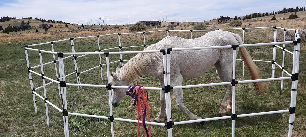 Ready Made Portable Horse Corrals: (EconoLine 10 Panels; 3 Rails)