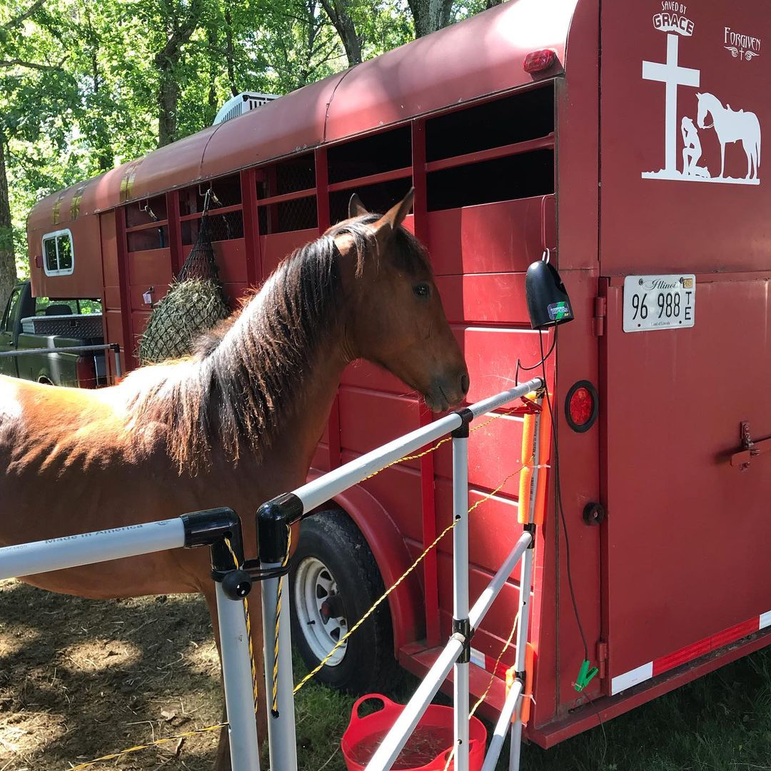 Electric Fence Charger: Powerfields Trail Charger