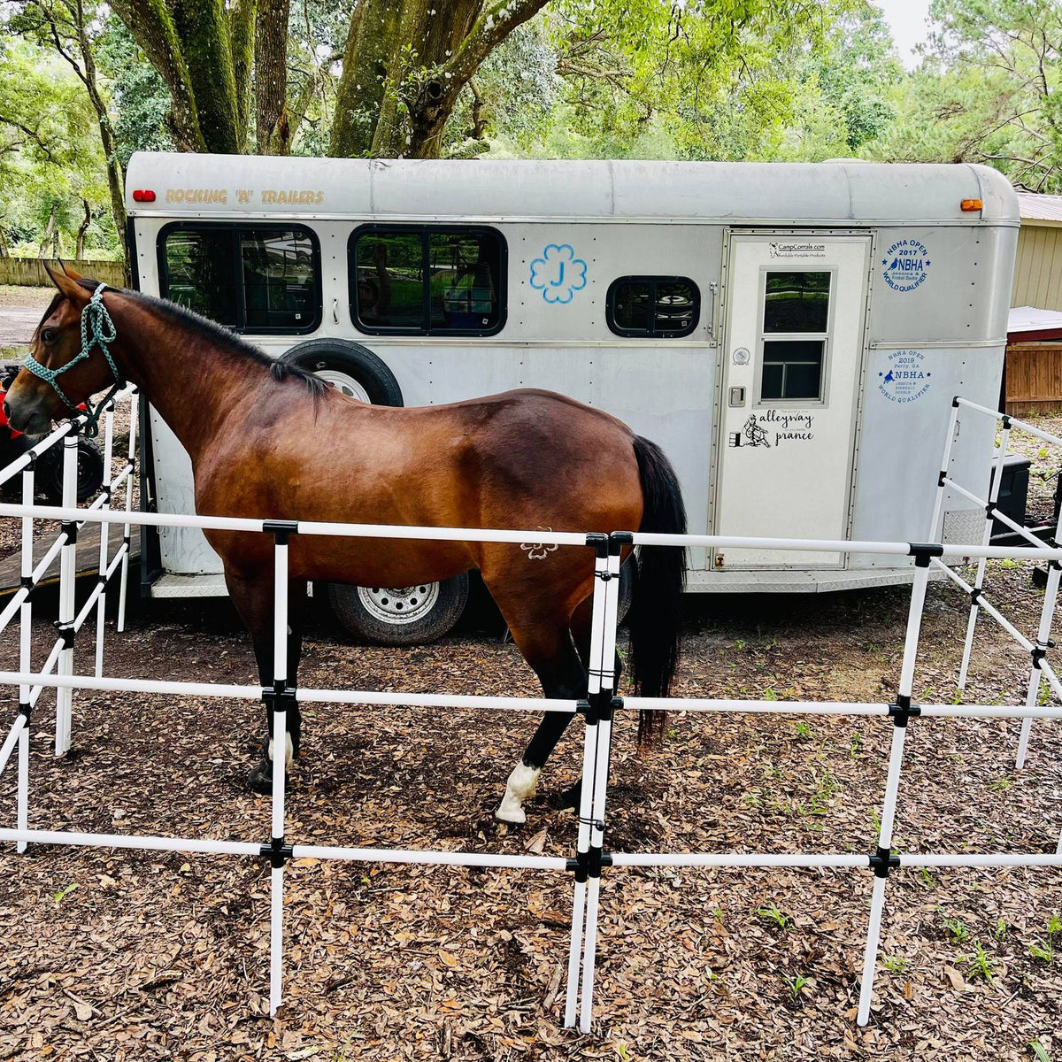 horse tent Ready Made Portable Horse Corrals: (EconoLine 6 Panels; 3 Rails) – Camp  Corrals