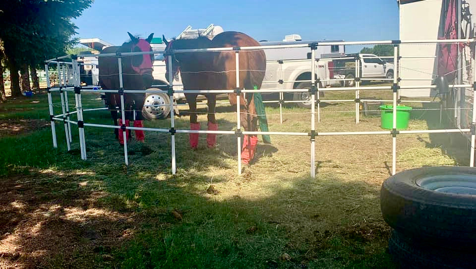 Ready Made Portable Horse Corrals: (EconoLine 10 Panels; 3 Rails)