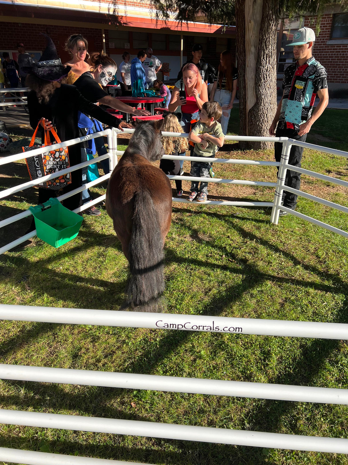 DIY Modular Kit: Mini/Goat Corral (6 Panels; 4 Rails)