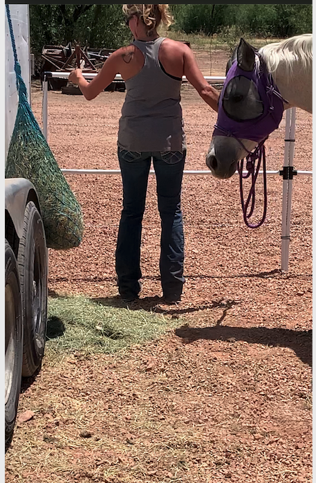 Ready Made Portable Electric Horse Corral Fencing: (Electric EconoLine 6 Panels; 2 Rails)