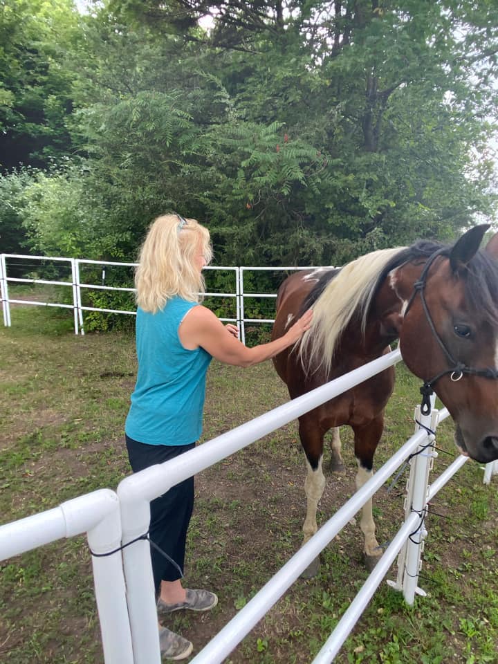 Modular Horse Corral Portable Panel Fencing: (Liberty 24 Panels; 3 Rails)