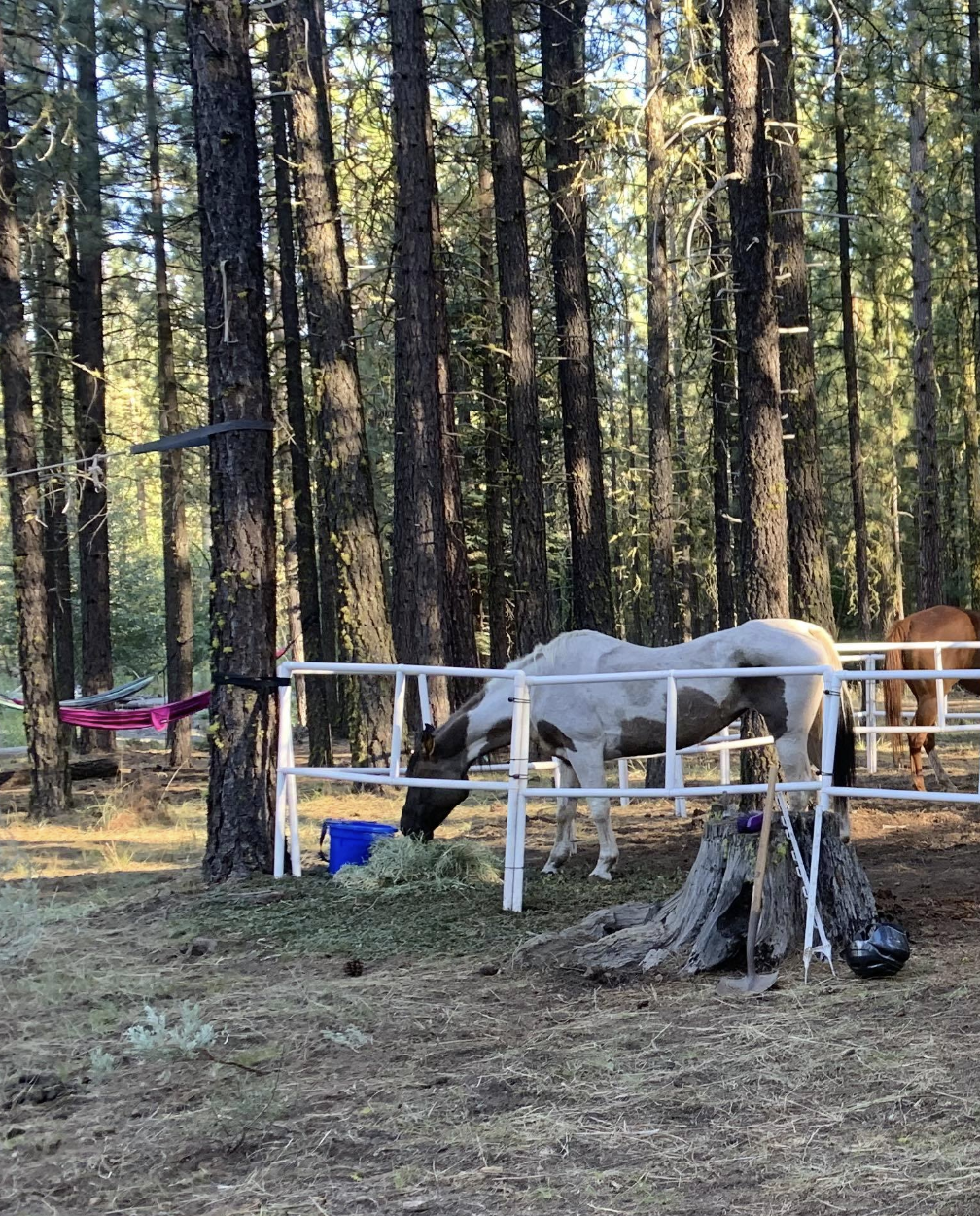 DIY Honey-Do Box Set: Standard (10 Panels; 2 Rails)