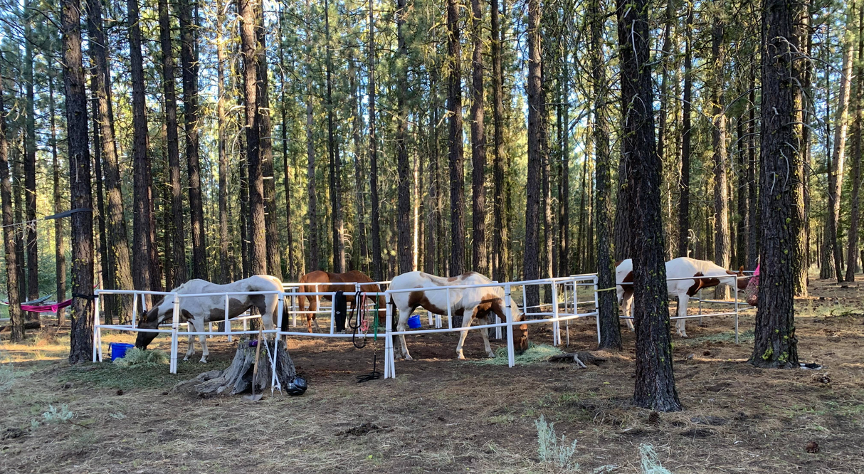 Heavy-Duty Electric Ready-Made Corral (10 Panels; 2 Rails)