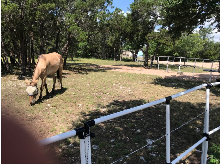 Portable electric horse corral with 12 panels and 2 rails, set in a grassy area with a mule grazing nearby.