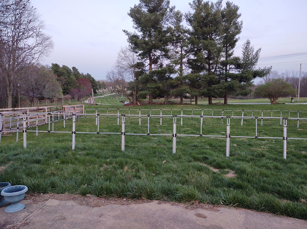 Portable electric horse corral with 12 panels and 2 rails set up as grazing pods on grass, surrounded by trees and open space.