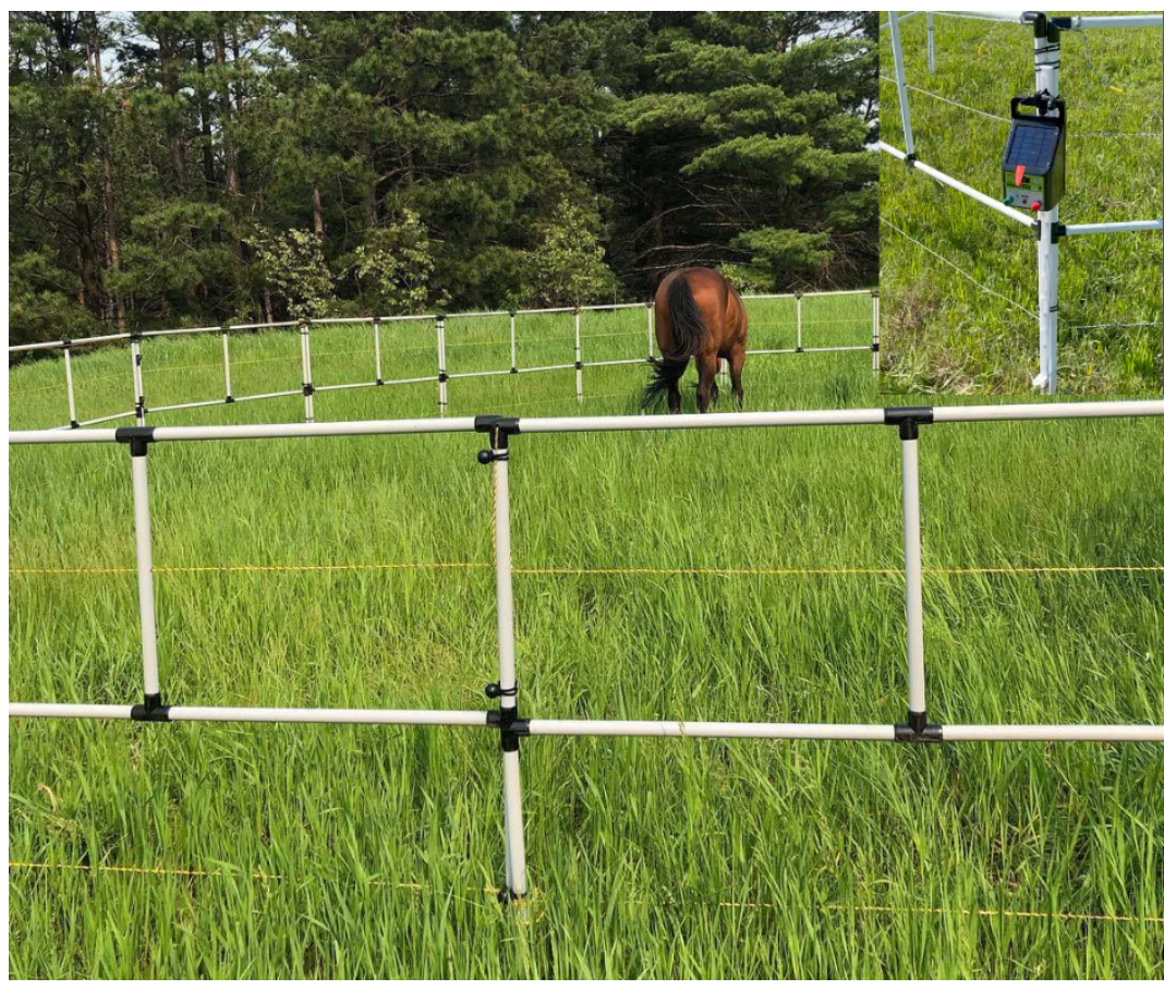 Ready Made Portable Electric Horse Corral Fencing: (Electric EconoLine 4 Panels; 2 Rails)