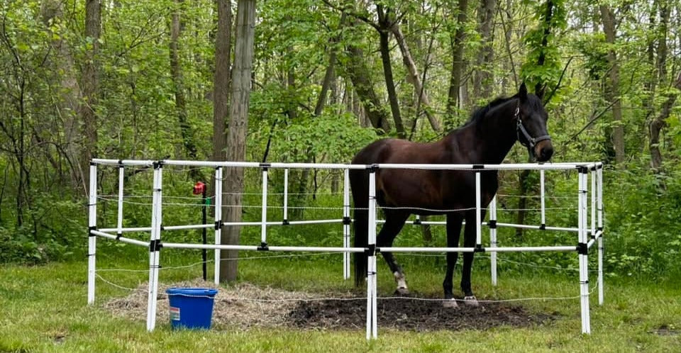 The Spring "Shake Out"