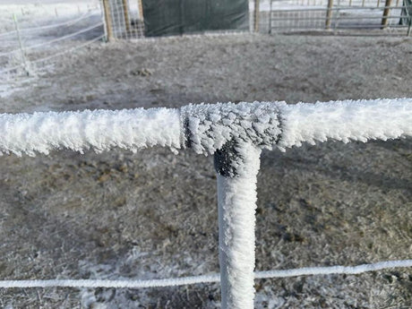 Winter Durability