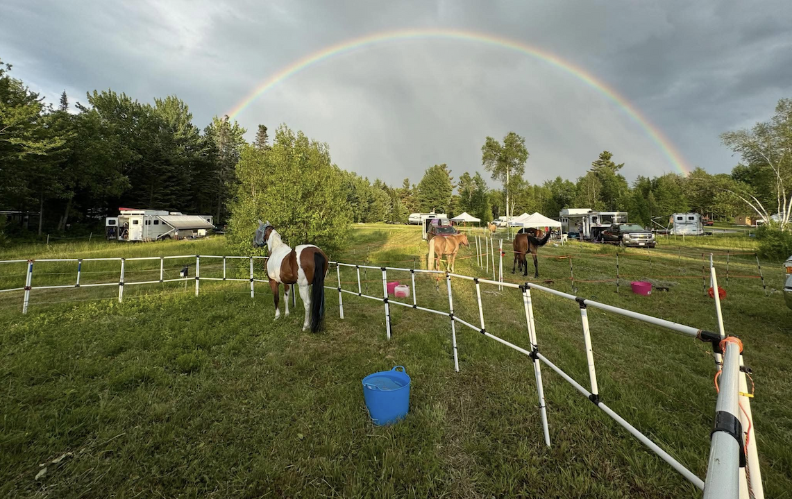 5 Things to Look For in a Horse-Friendly Overnight Stop