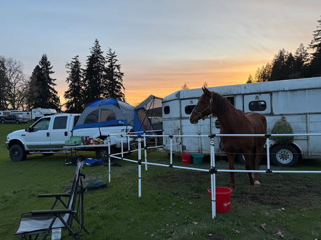 High-Tie or Portable Corral?