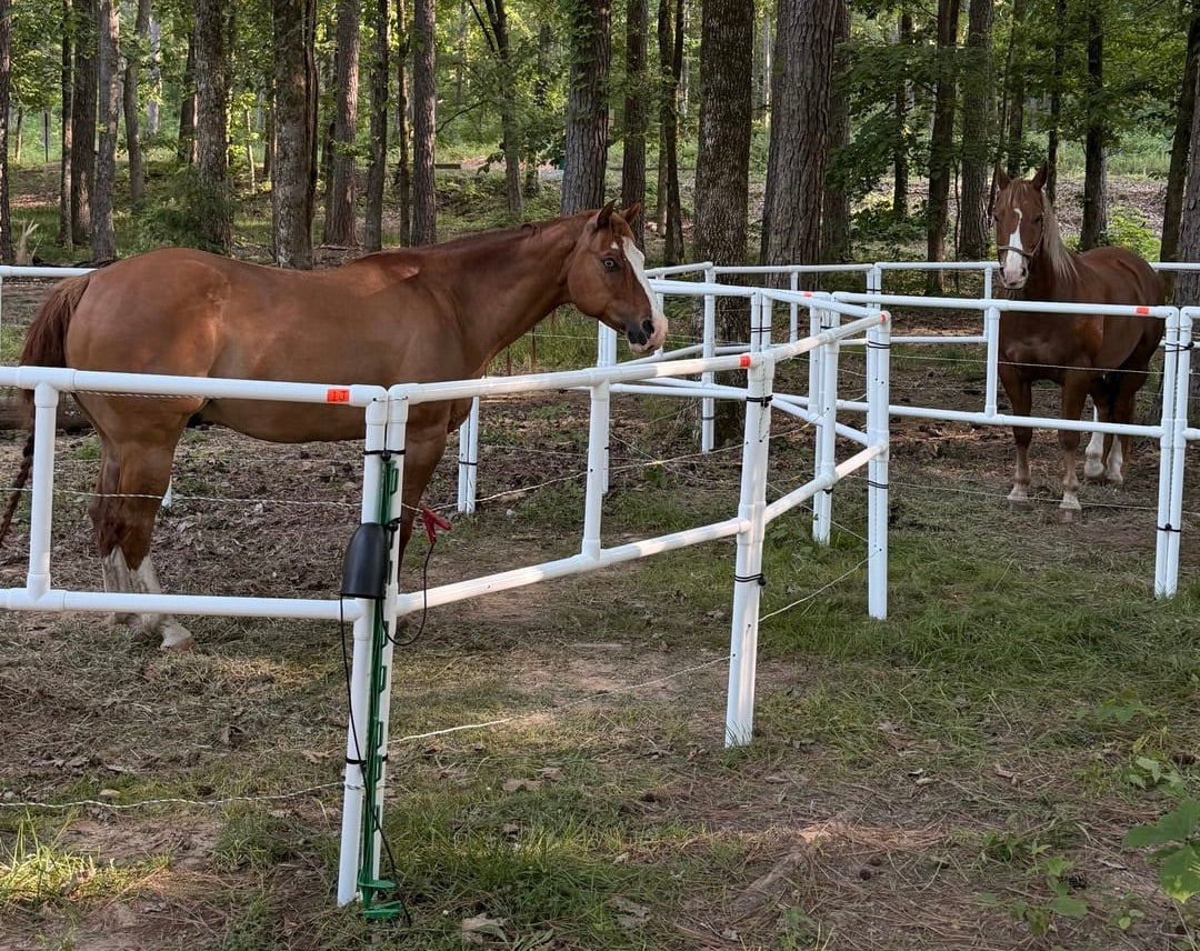 The Summer Horse Event Season Is Here — Are You Ready for the Long Haul?