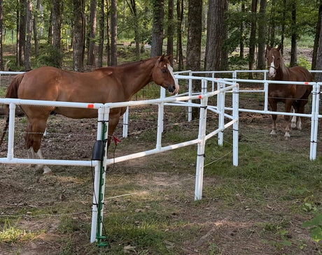 The Summer Horse Event Season Is Here — Are You Ready for the Long Haul?