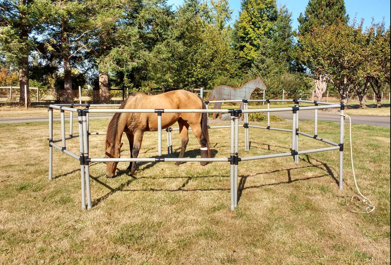 Tips for Supporting a Horse in Recovery