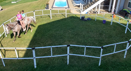 10 Unexpected Uses for A Portable Corral