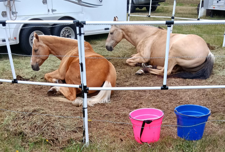 First Trip of The Year