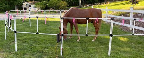 How to Set Up a Horse Camp That Doesn't Make You Want to Cry