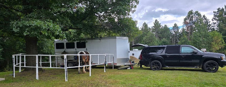 The Barge-y Horse