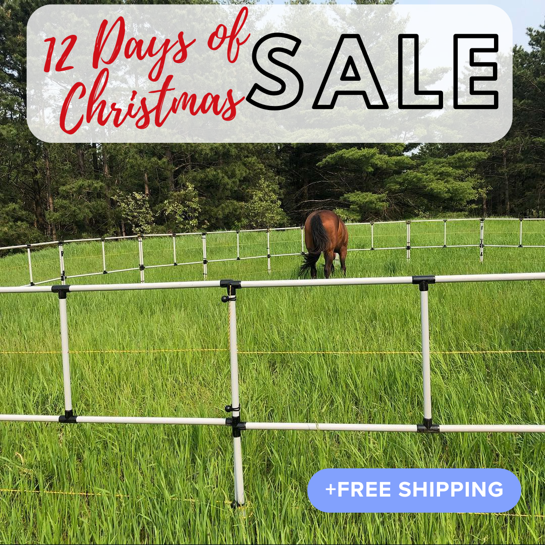 Ready Made Portable Electric Horse Corral Fencing: (Electric EconoLine 12 Panels; 2 Rails)