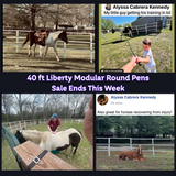Modular Horse Corral Portable Panel Fencing: (Liberty 24 Panels; 3 Rails)