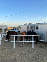 BOGO Buy 6 Get 6 50% OFF: Heavy-Duty Electric Ready-Made Corral (12 Panels; 2 Rails)