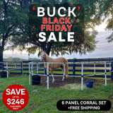 Ready Made Portable Electric Horse Corral Fencing: (Electric EconoLine 6 Panels; 2 Rails)