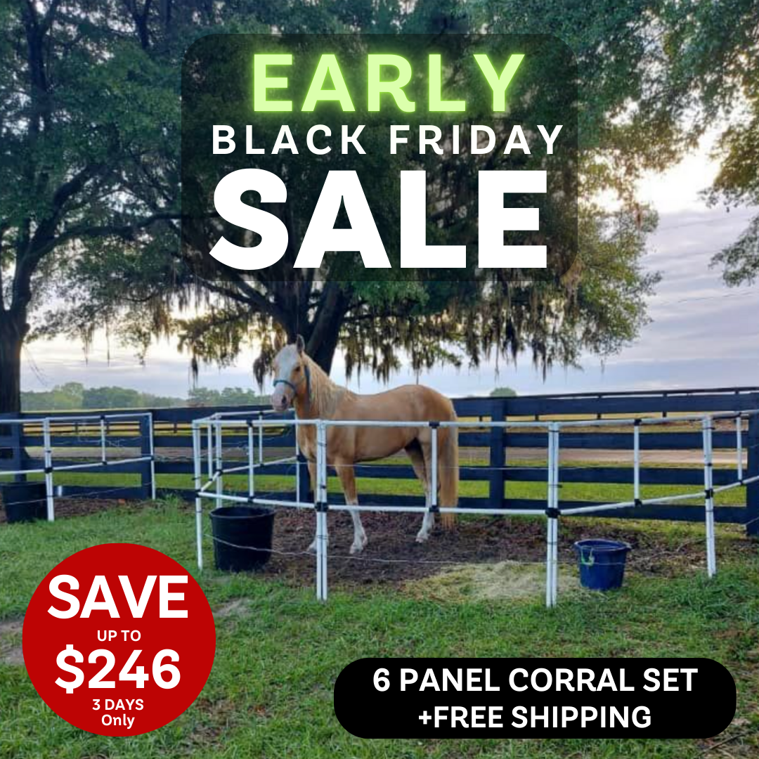 Ready Made Portable Electric Horse Corral Fencing: (Electric EconoLine 6 Panels; 2 Rails)