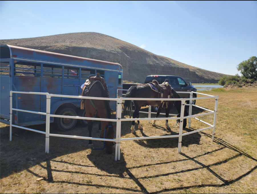 Modular Horse Corral Portable Panel Fencing: (Liberty 8 Panels; 3 Rails)