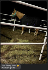 Modular Horse Corral Portable Panel Fencing: (Liberty 8 Panels; 3 Rails)