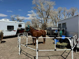 Ready Made Portable Electric Horse Corral Fencing: (Electric EconoLine 8 Panels; 2 Rails)