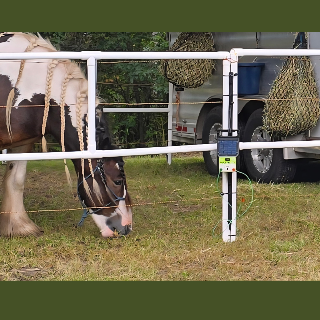 DIY Honey-Do Box Set: Standard (8 Panels; 2 Rails)