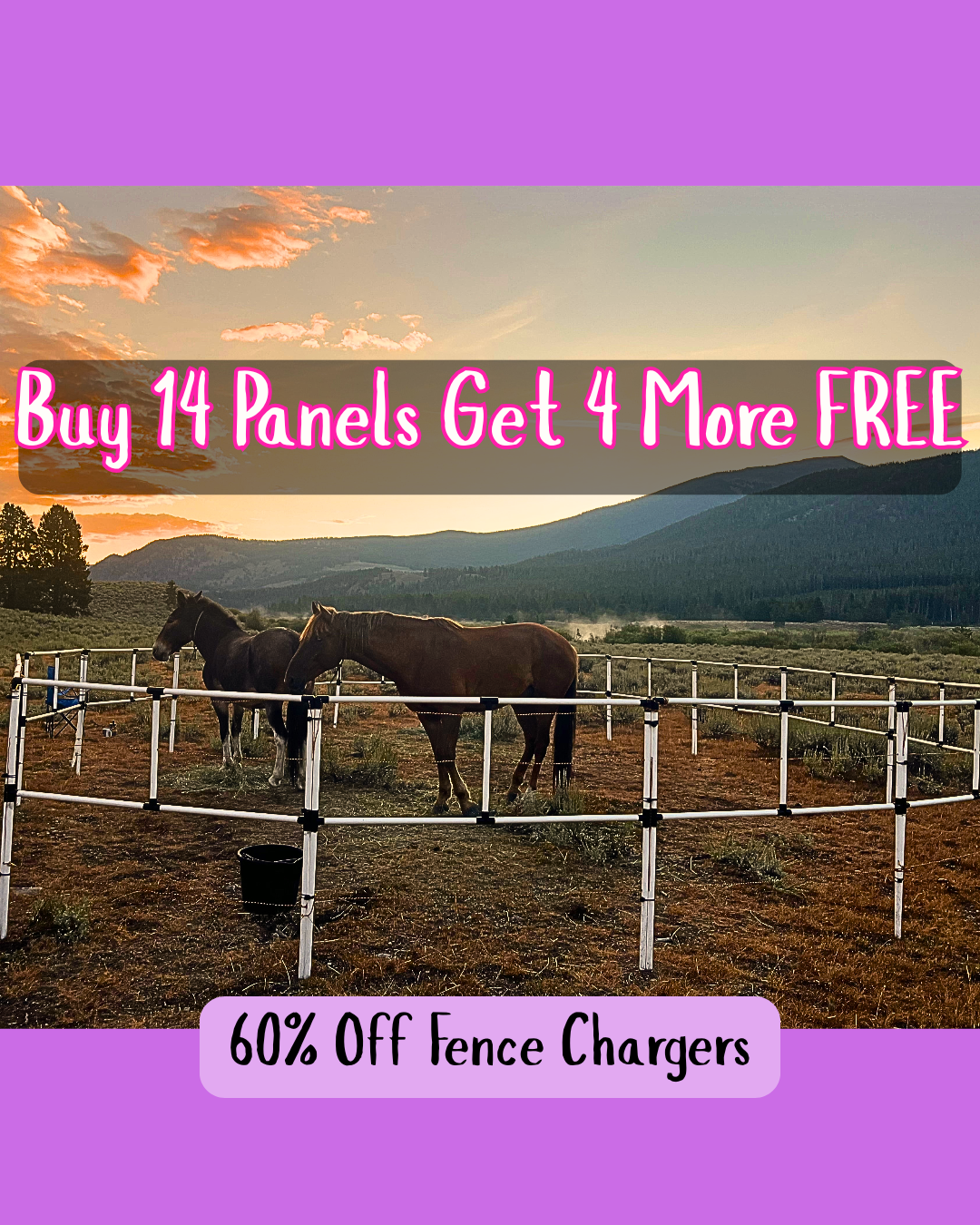 Ready Made Portable Electric Horse Corral Fencing: (Electric EconoLine 14+4=18 Panels; 2 Rails)